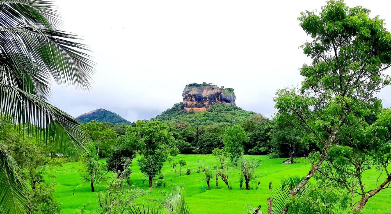 Lakmini Lodge Sigiriya Eksteriør billede