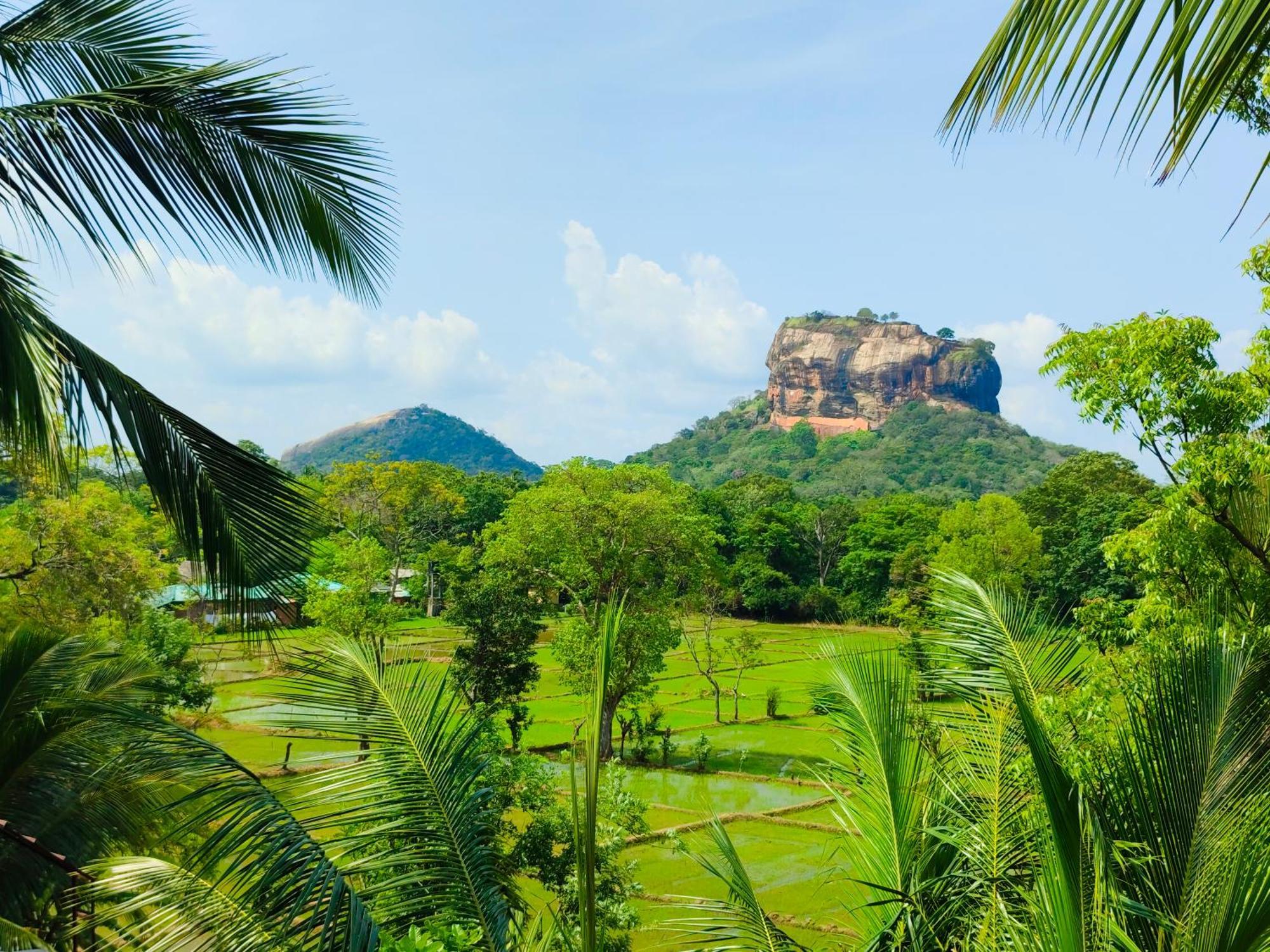 Lakmini Lodge Sigiriya Eksteriør billede