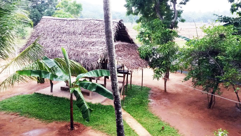 Lakmini Lodge Sigiriya Eksteriør billede